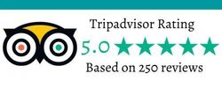 Tripadvisor rating 5.0 based on 250 reviews
